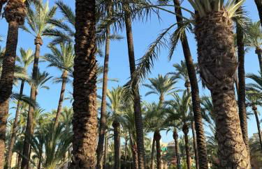 ESTRELLA Santa Pola - Photo 46