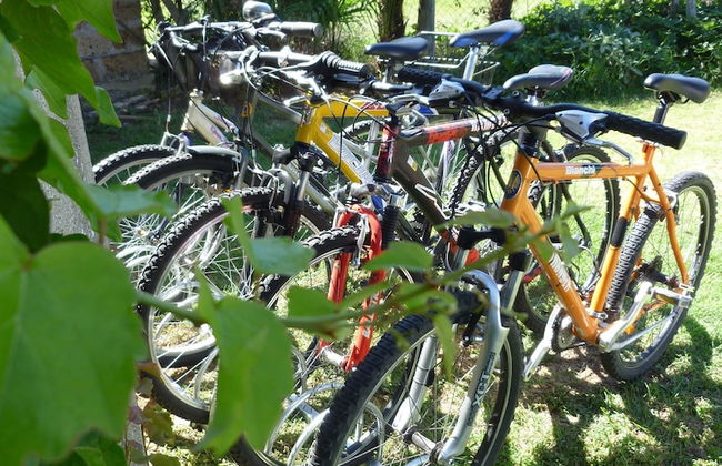 Casale dei Gelsi Bed & Breakfast - Foto 52