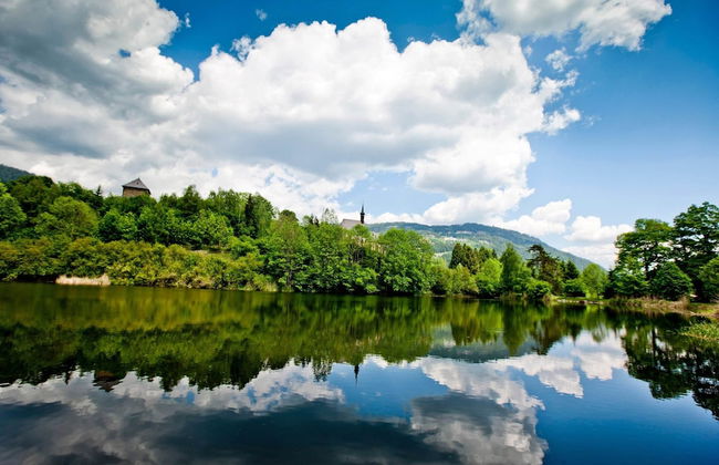 Chalet in Hohentauern Near Ski Lift - Photo 39
