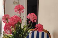 Ocean front apartment Trianon - Foto 19