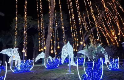 Gaia Pia Home - Foto 8