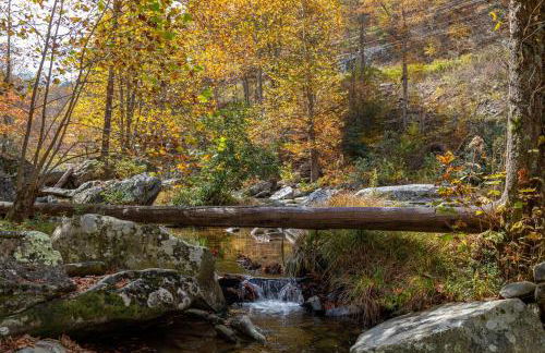 A River Runs Through It - Foto 41