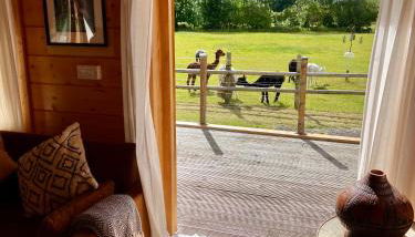 The Alpaca Cabin - Foto 2