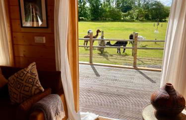 The Alpaca Cabin - Photo 2