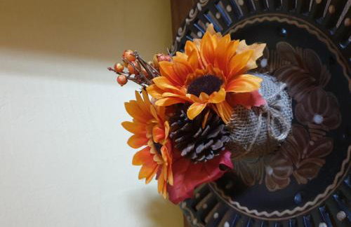 Vila Ema-kuća za odmor - Foto 26