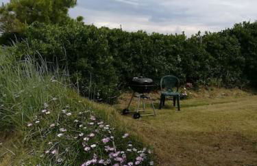 1. Ty gwalarn, vue sur la lande, dunes et océan - Foto 20