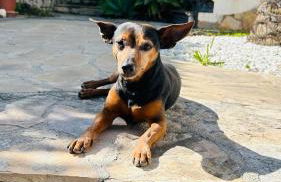 La casa del mar Nuimna - Foto 35