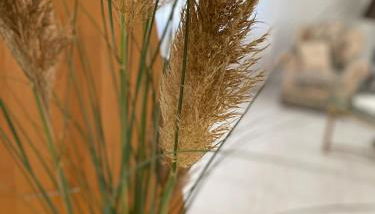 Apartment Traumzeit - Foto 2