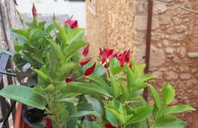 Modern Apartment near Arce City Centre, 62 m², Parking - Foto 19