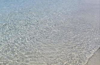 WalMarhouse - Foto 24