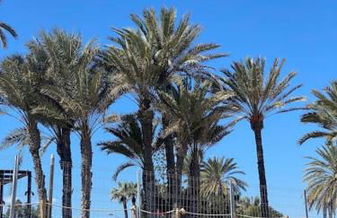 La casa del sol terrazas De la Torre golf - Foto 18