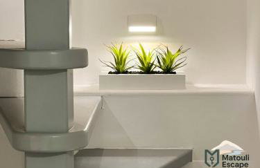 Matouli Escape - Foto 26