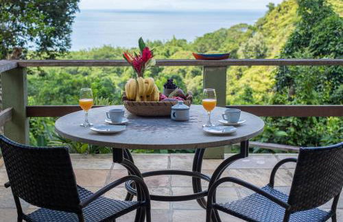 Vista espetacular, no meio da mata, com conforto - Foto 35