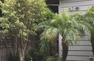 New cozy studio 2 queen beds kitchen walk to water! - Foto 33