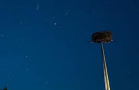 Am Storchennest - Foto 14