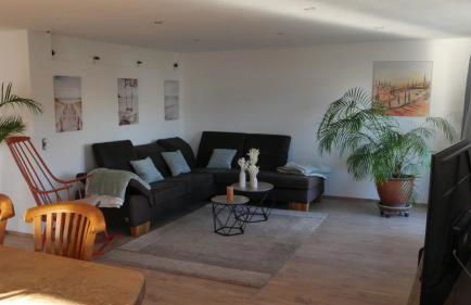 Großer Elefant - Foto 12