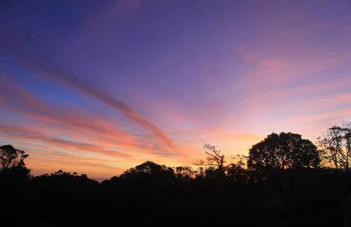 Quinta do Areeiro - Foto 45