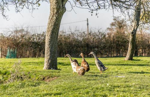 Morgan Sweet, Apple Tree Glamping, Nr Wells - Foto 19