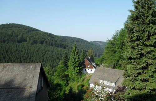 Ferienwohnungen Sonnenpfad - Foto 35