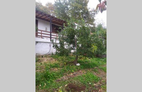 Maro's Guesthouse - Foto 12