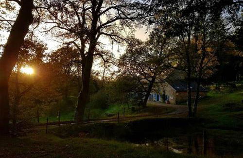 gîte le Ranch de Vassiviére - Photo 1