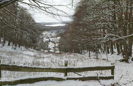 Ferienwohnung zum Märchenwald - Foto 42