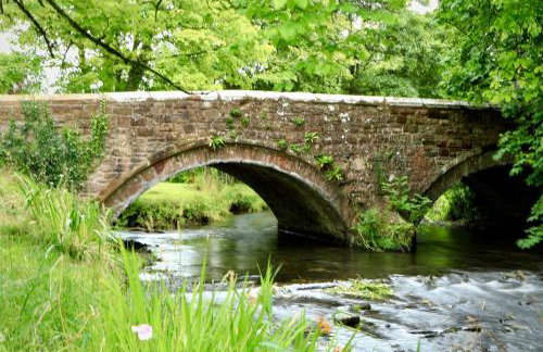 The Carriage - A first class experience - Foto 12