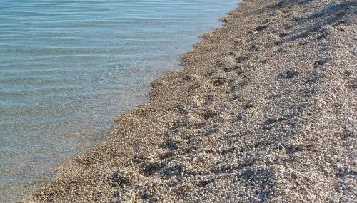 Apartments Smokvica I - Foto 5