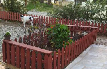 Marry's Guesthouse - Foto 22