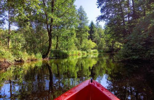 Całoroczny dom w sercu Mazur - Photo 19
