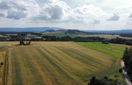 Róże i Jabłonie Agroturystyka - Foto 6