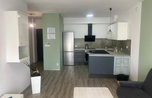 1 Tyskie Apartamenty z prywatnym ogródkiem - Foto 24