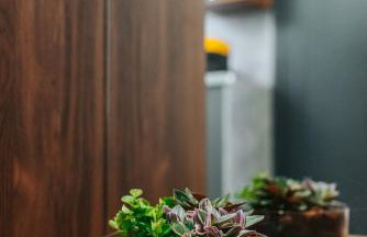 Studio apartmani Albero - Foto 28