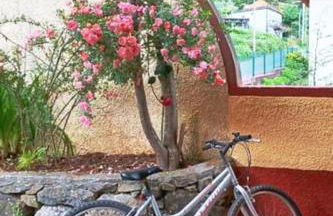 Casa da Lagoa BB or HB options - Foto 20