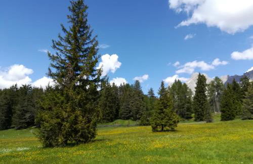 Residence Grand Hotel Carezza - Foto 71