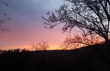 Domaine de Cantegrel - Gîtes de Charme et Suite Troglodyte en Périgord - Foto 55