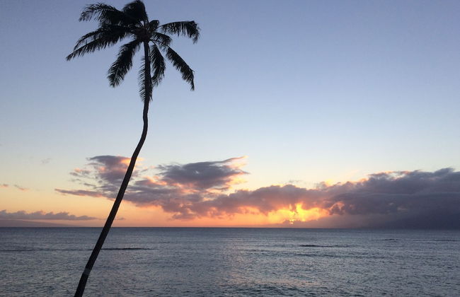 Kahana Reef - Maui Condo & Home - Foto 44