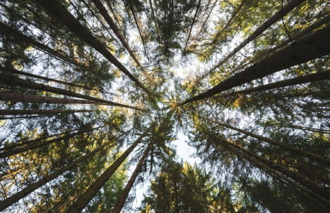 Chic Apartment in Thuringia With Sauna - Foto 76