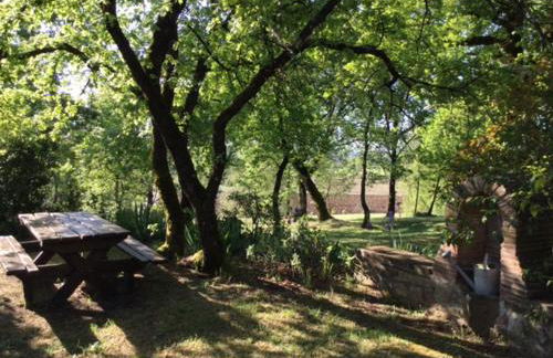 La Berchiera - Foto 23