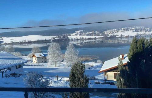 Chalet Charmant rénové au bord du Lac St Point - Foto 59