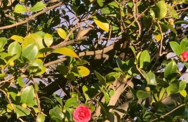 La mia casa sul lago con vista mozzafiato - Foto 49