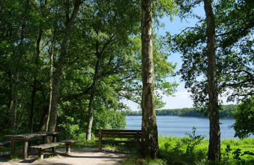 Seestadt Apartment I Sauna I Parkplatz I Zentral - Foto 46