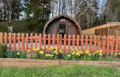 Glamping Life Retreat - Photo 6