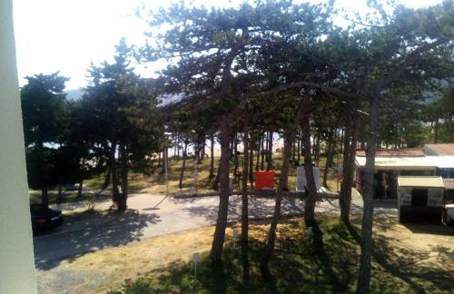 Apartmani Ivana - Foto 17