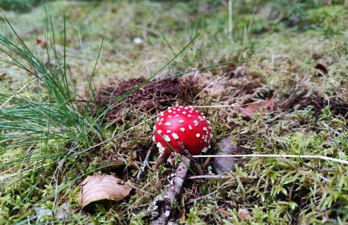 Milky Way - Appartement en bas des pistes du Mourtis - Foto 31