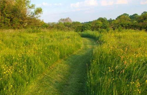 The Stable with cozy logburner - Foto 70