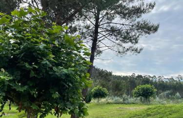 AREA PLAYA VIVEIRO APARTAMENTS , XOVE - Foto 16