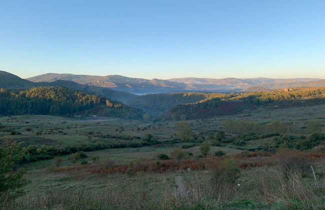 Tour dell'Etna in fuoristrada + Giro in barca ad Aci Trezza - Foto 4