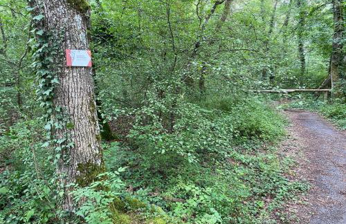 Gîte au Pied du Bischenberg - Foto 40