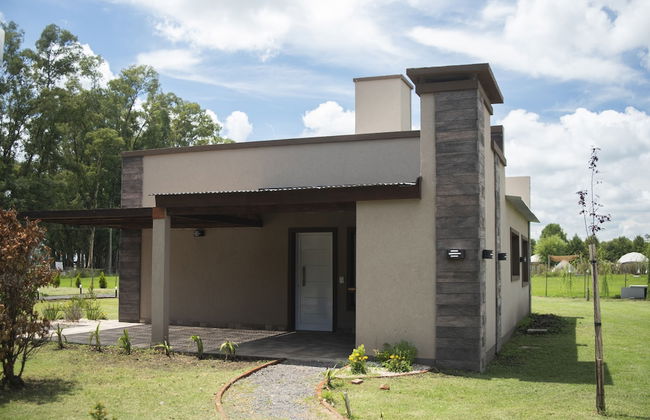 Olivos de Monte - Foto 58